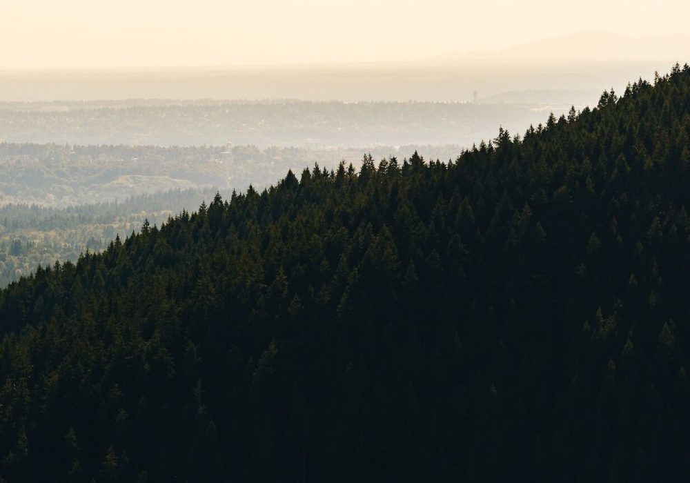 dave-7psbrnNd4sc-unsplash (1)